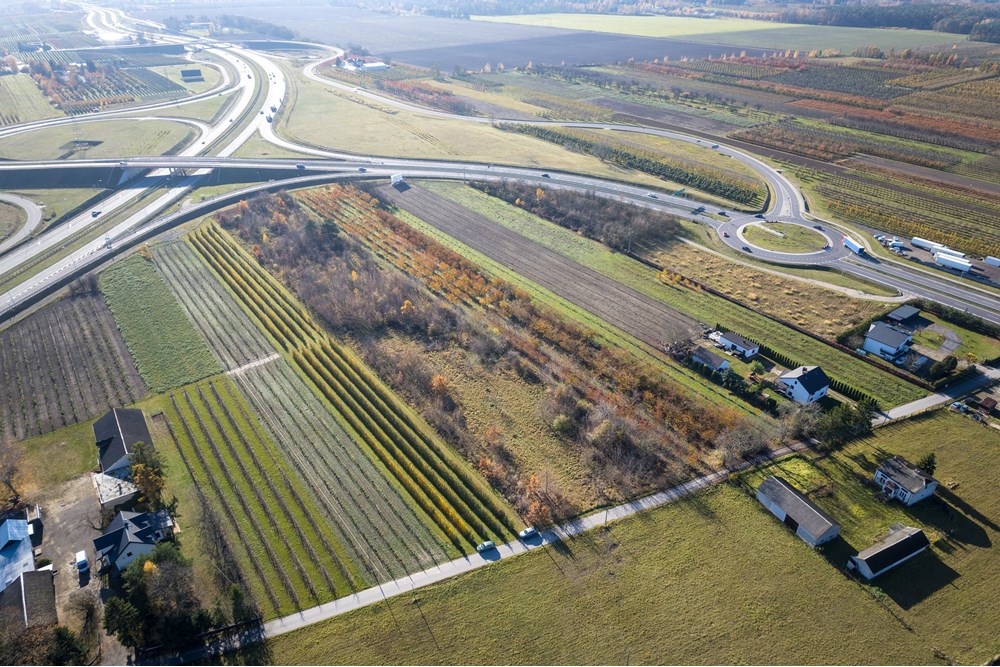 Nieruchomość gruntowa - Sprzedaż - Tarczyn, Polska - REMBERTOW-6.jpg - 810251035-71