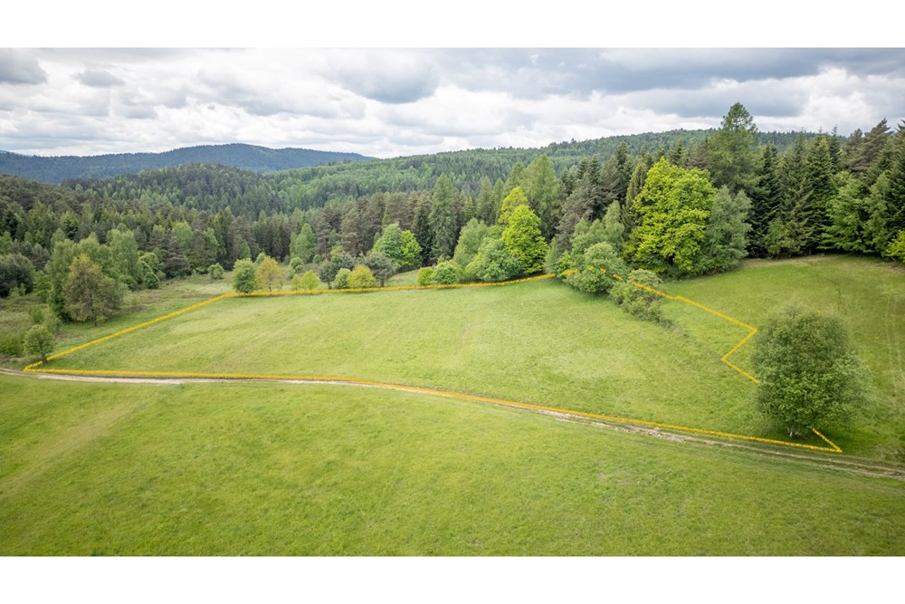 Działka - Sprzedaż - Krzeszów, Polska - Działka 160.000 1.jpg - 470131112-4