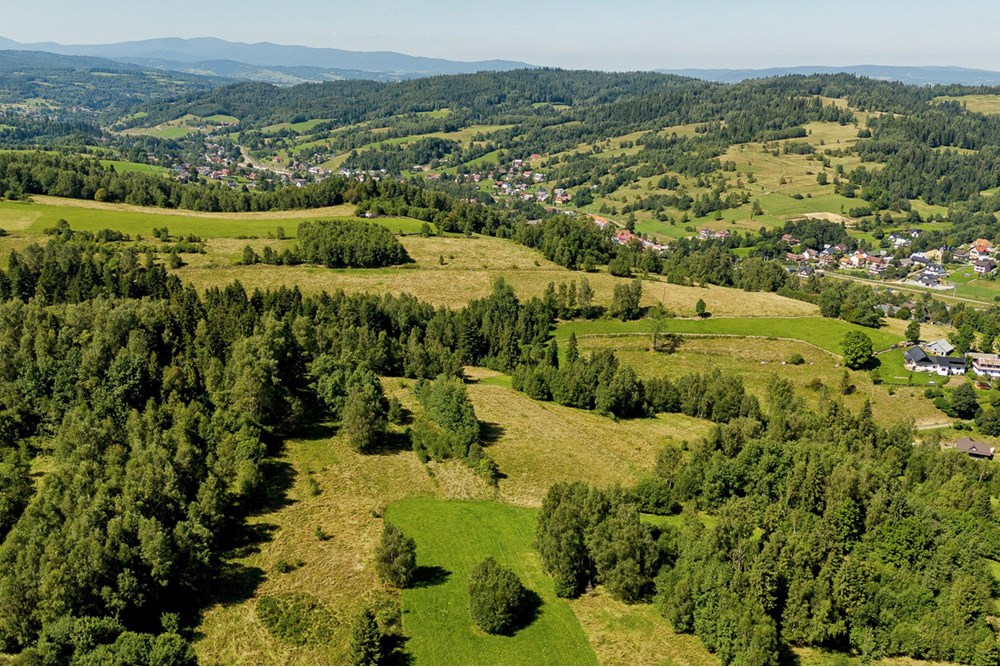 Działka - Sprzedaż - Sieniawa, Polska - dzialka-sieniawa-pajerski-19.jpg - 800091055-3