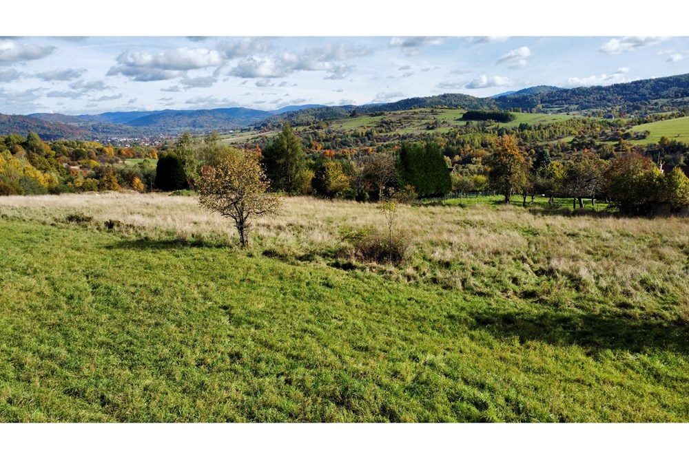 Działka budowlana - Sprzedaż - Żywiec, Polska - dji_fly_20251013_125022_190_1760441775626_photo_optimized.jpeg - 800061098-177