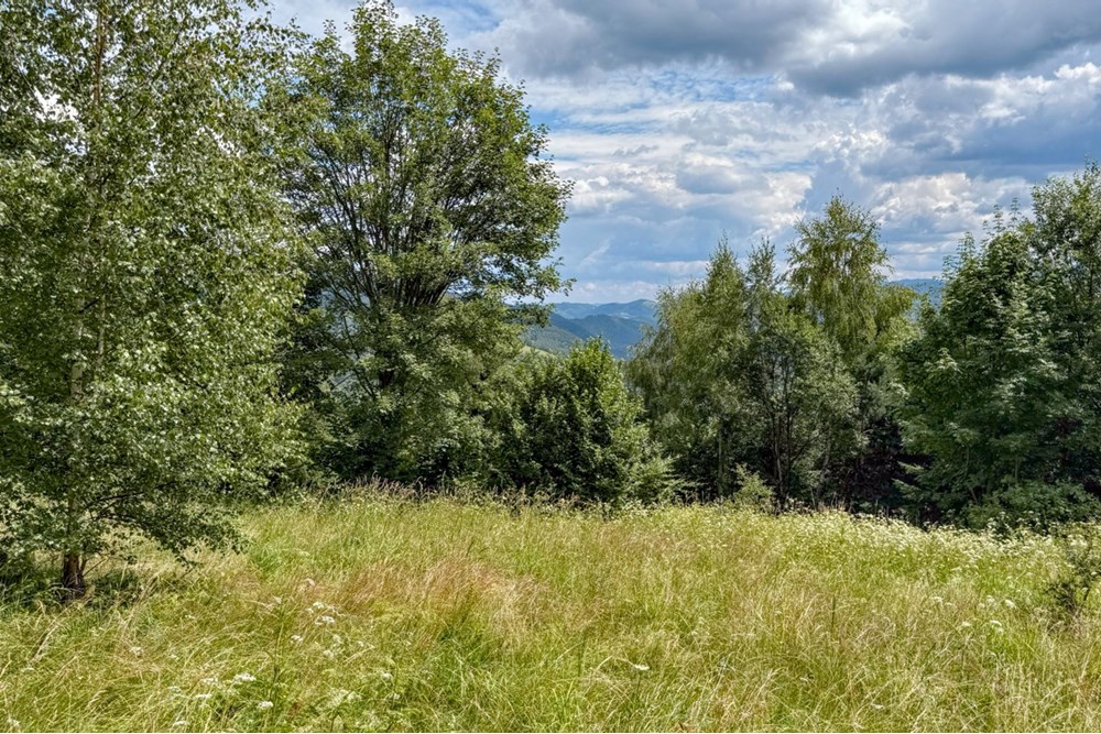 Nieruchomość gruntowa - Sprzedaż - Ochotnica Dolna, Polska - IMG_0132.jpg - 800091057-4