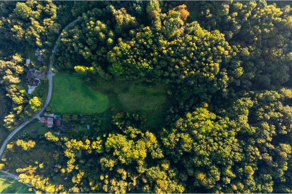 Działka - Sprzedaż - Włosań, Polska - 20250927-DJI_0383-HDR.jpg - 800241010-104