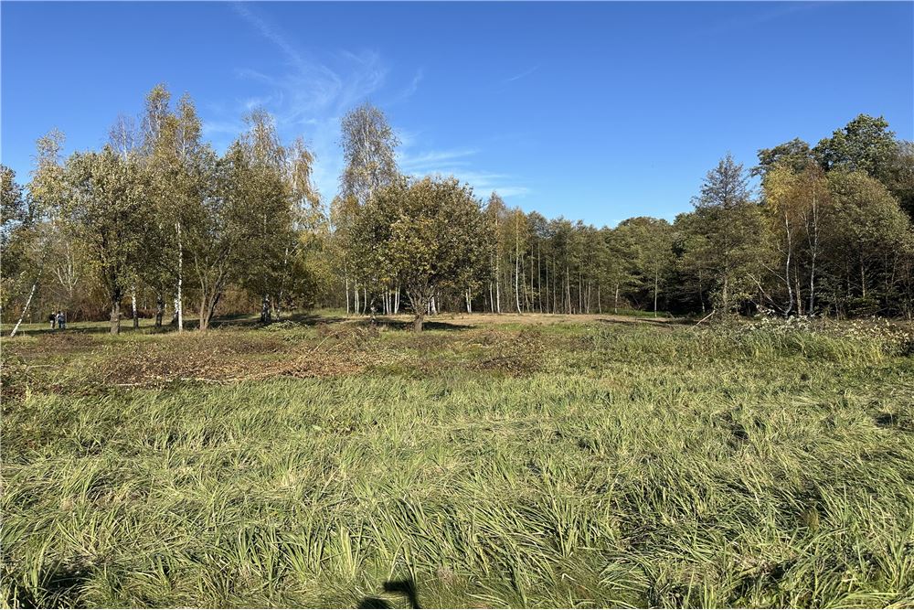 Działka budowlana - Sprzedaż - Jasienica, Polska - 36 - 800061103-173