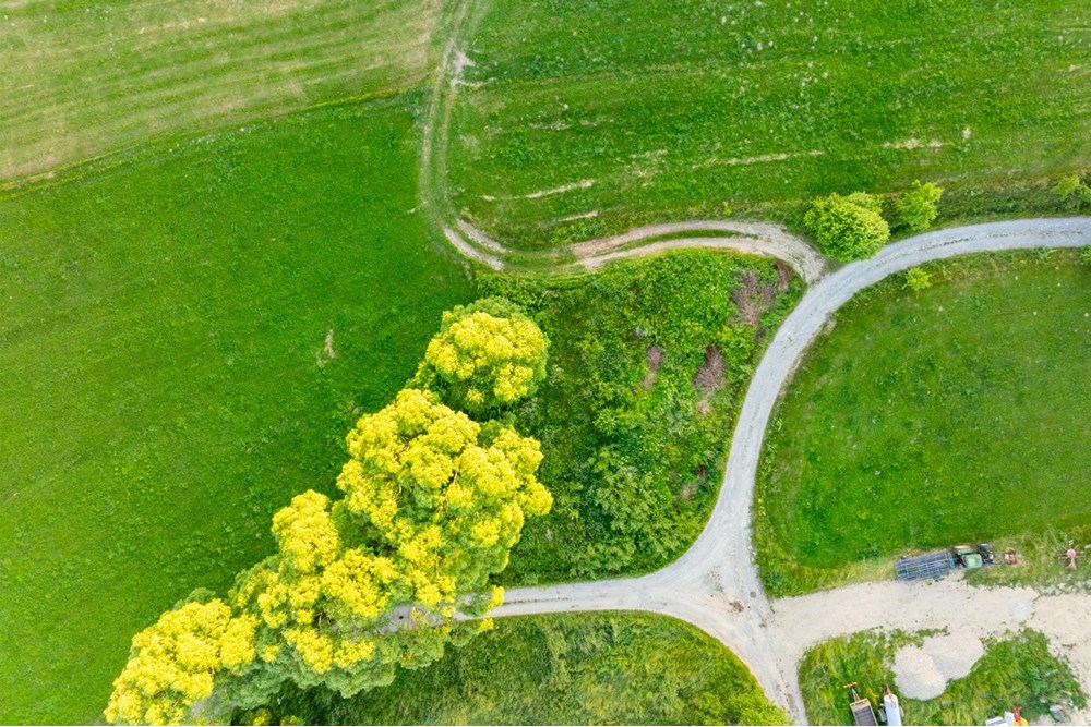 Działka budowlana - Sprzedaż - Pieniążkowice, Polska - DJI_0508-HDR-4.jpg - 800091045-36