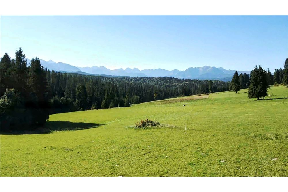 Działka - Sprzedaż - Rzepiska, Polska - 1 - 470151015-476