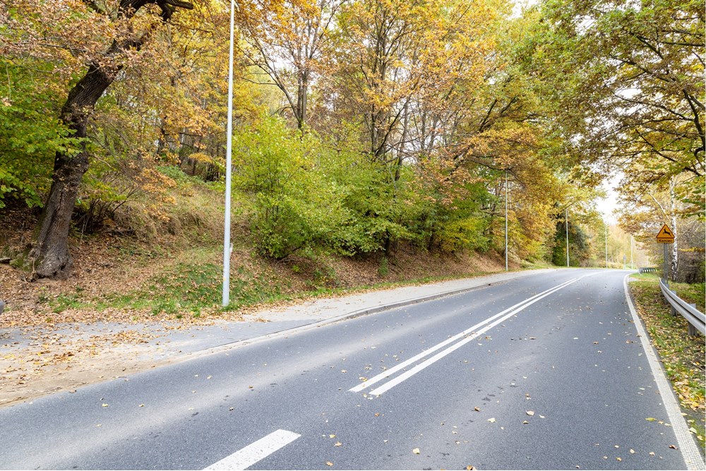 Działka - Sprzedaż - Żywiec, Polska - IMG_8527.jpg - 800061130-26