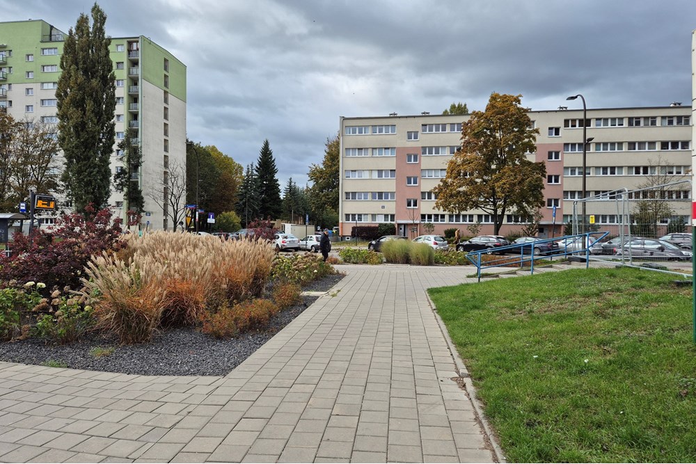 Mieszkanie - Wynajem - Łódź, Polska - otoczenie.jpg - 470291004-261