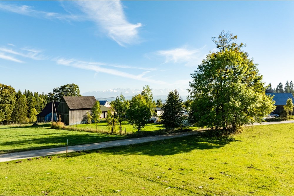 Działka budowlana - Sprzedaż - Nowy Targ, Polska - 20251004-DJI_0139-HDR.jpg - 800091040-99