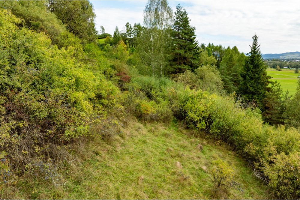 Działka - Sprzedaż - Knurów, Polska - 20250927-DJI_0791-HDR.jpg - 470151024-457