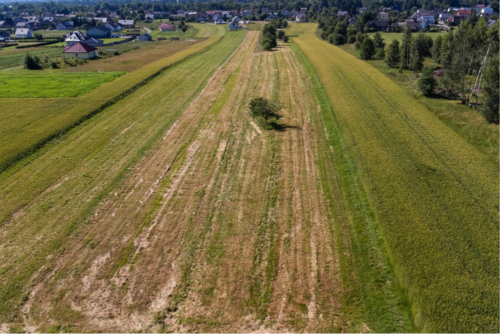 Działka budowlana - Sprzedaż - Lipowa, Polska - Działka_lipowa-6.jpg - 800061116-16