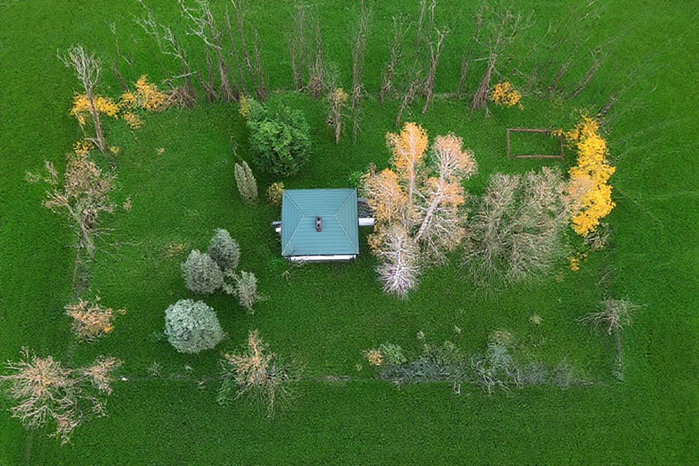 Działka budowlana - Sprzedaż - Ostrowik, Polska - DJI_20251105072614_0018_D.jpg - 810131026-128