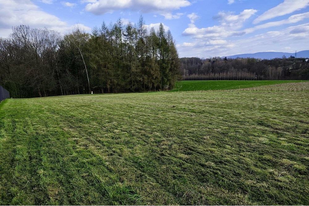 Działka budowlana - Sprzedaż - Bestwina, Polska - 29084b3a-f342-453a-991e-c4aa1f0a1ddd.jpeg - 800061126-15