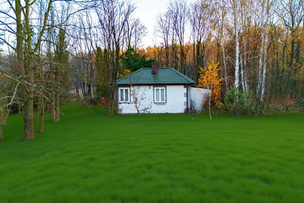 Działka budowlana - Sprzedaż - Ostrowik, Polska - DJI_20251105072413_0015_D.jpg - 810131026-128