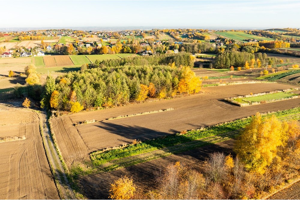 Działka budowlana - Sprzedaż - Trąbki, Polska - 20251031-DJI_0944-HDR.jpg - 800241005-219