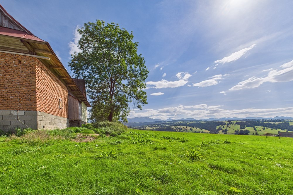 Dom wolnostojący - Sprzedaż - Czerwienne, Polska - CAM05558G0-PR0017-STILL019.jpg - 470151024-447