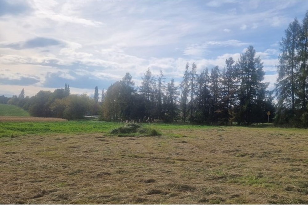 Działka - Sprzedaż - Pruchna, Polska - Pruchna1507b.jpeg - 470131058-385