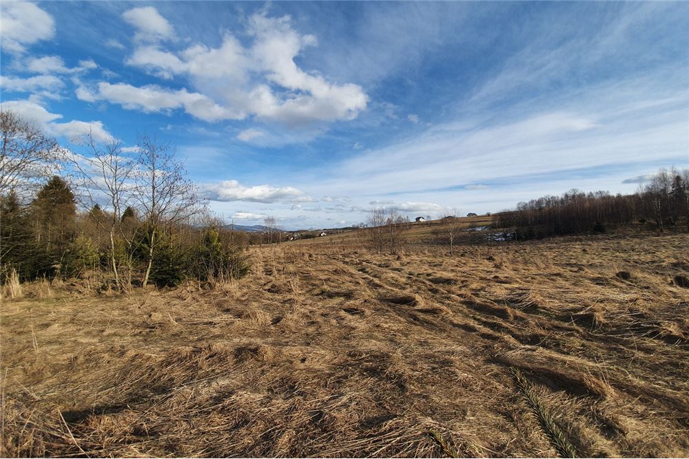 Działka budowlana - Sprzedaż - Bystra, Polska - 16 - 800091026-75