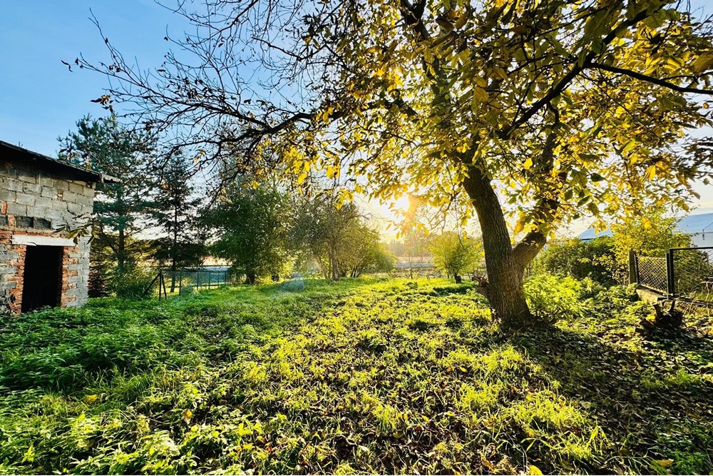 Działka budowlana - Sprzedaż - Rybnik, Polska - zagłoby 13.jpg - 470311001-56