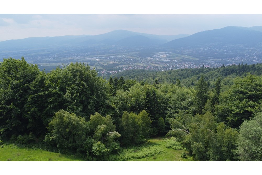 Działka - Sprzedaż - Wilkowice, Polska - DJI_0093.JPG - 800061116-13