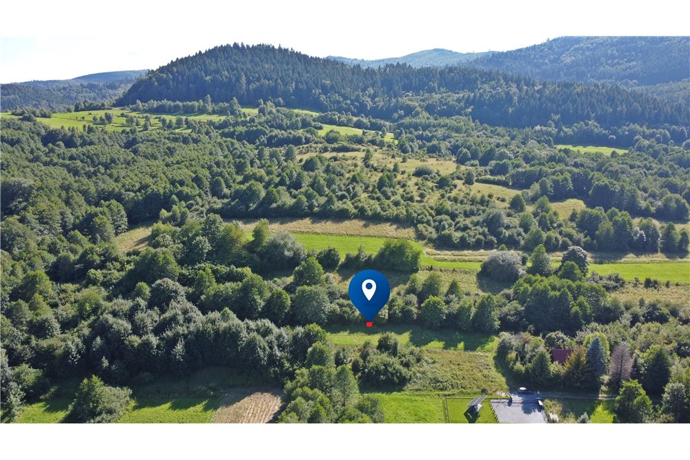 Działka - Sprzedaż - Radziechowy, Polska - 6 - 800061039-516