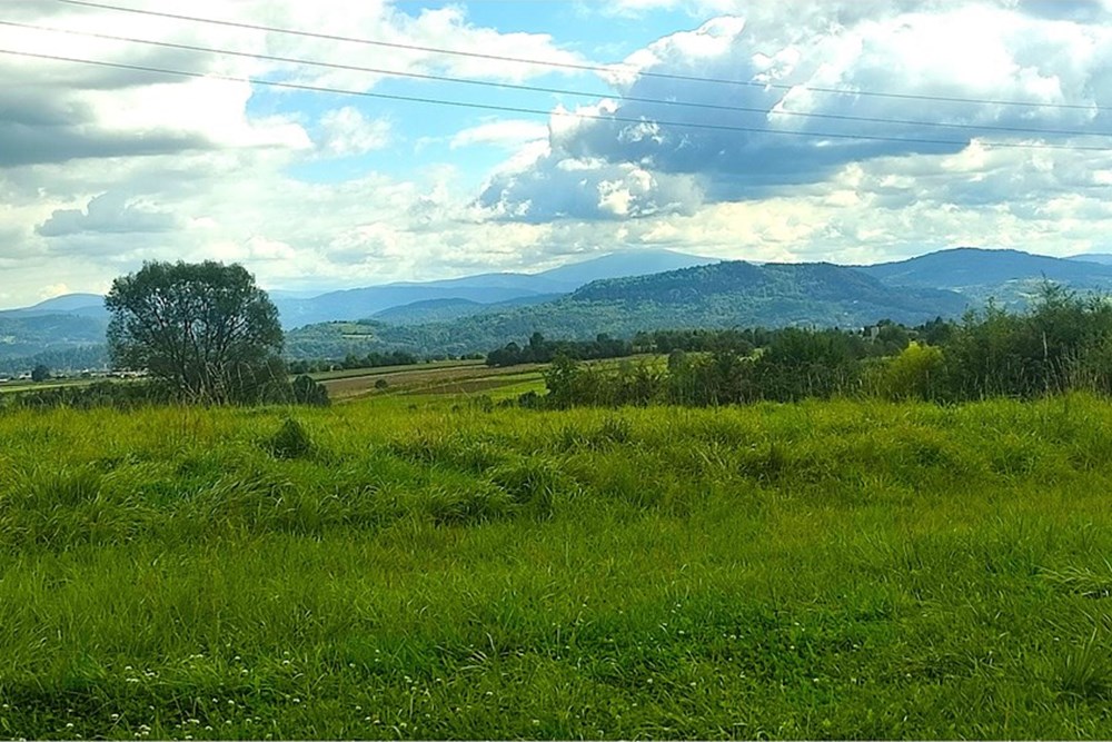 Działka budowlana - Sprzedaż - Lipowa, Polska - IMG_20250919_120630.jpg - 800061133-9