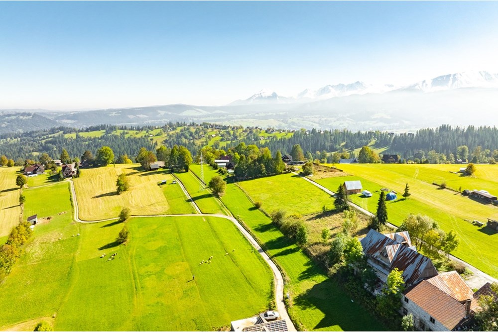 Działka budowlana - Sprzedaż - Ząb, Polska - 20251004-DJI_0824-HDR-2.jpg - 470151035-148