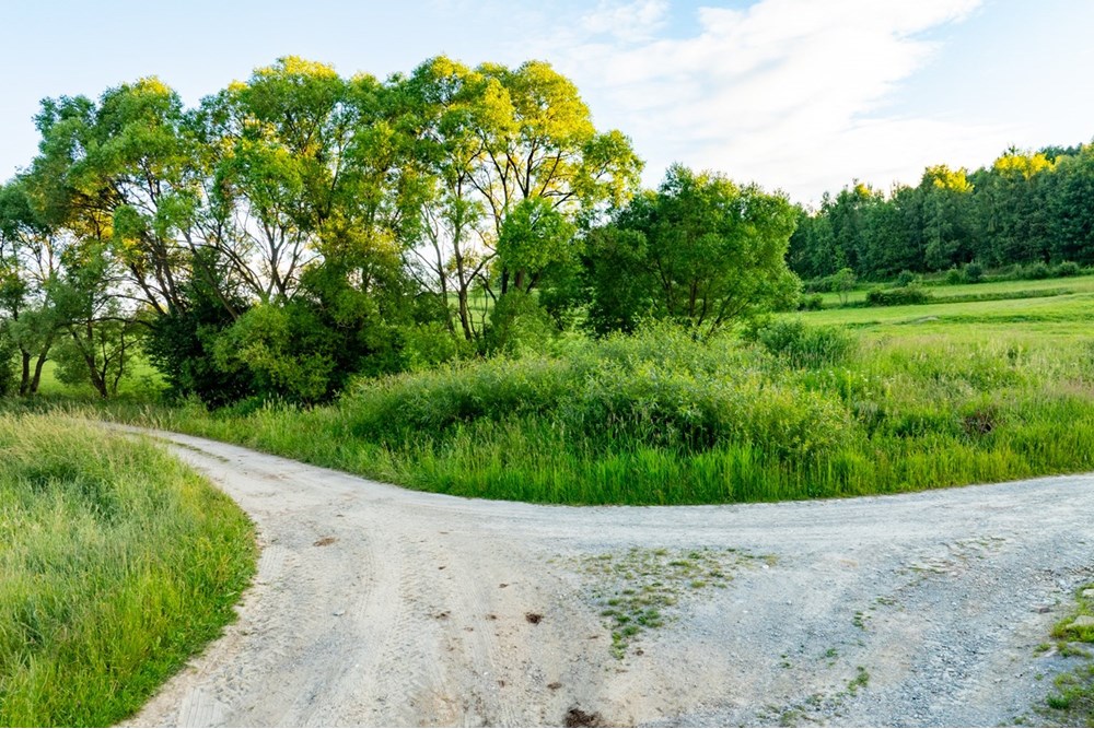 Działka budowlana - Sprzedaż - Pieniążkowice, Polska - DJI_0568-HDR-22.jpg - 800091045-36