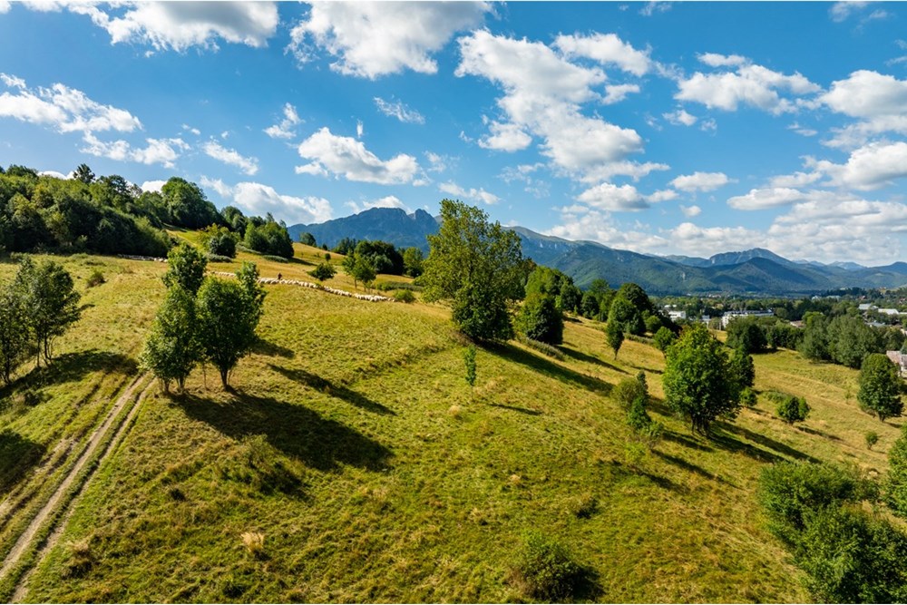 Działka - Sprzedaż - Zakopane, Polska - Artur Zając remax  (1).jpg - 800091026-83