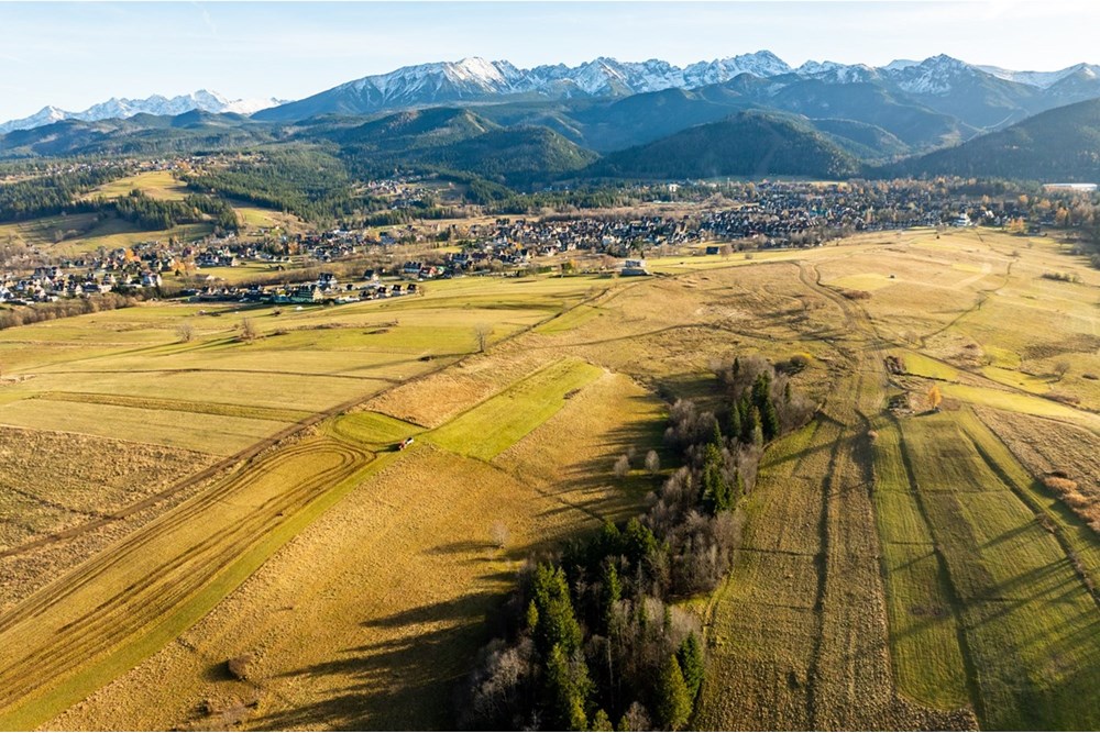 Działka - Sprzedaż - Zakopane, Polska - 20251114-DJI_0089-HDR.jpg - 800091026-88