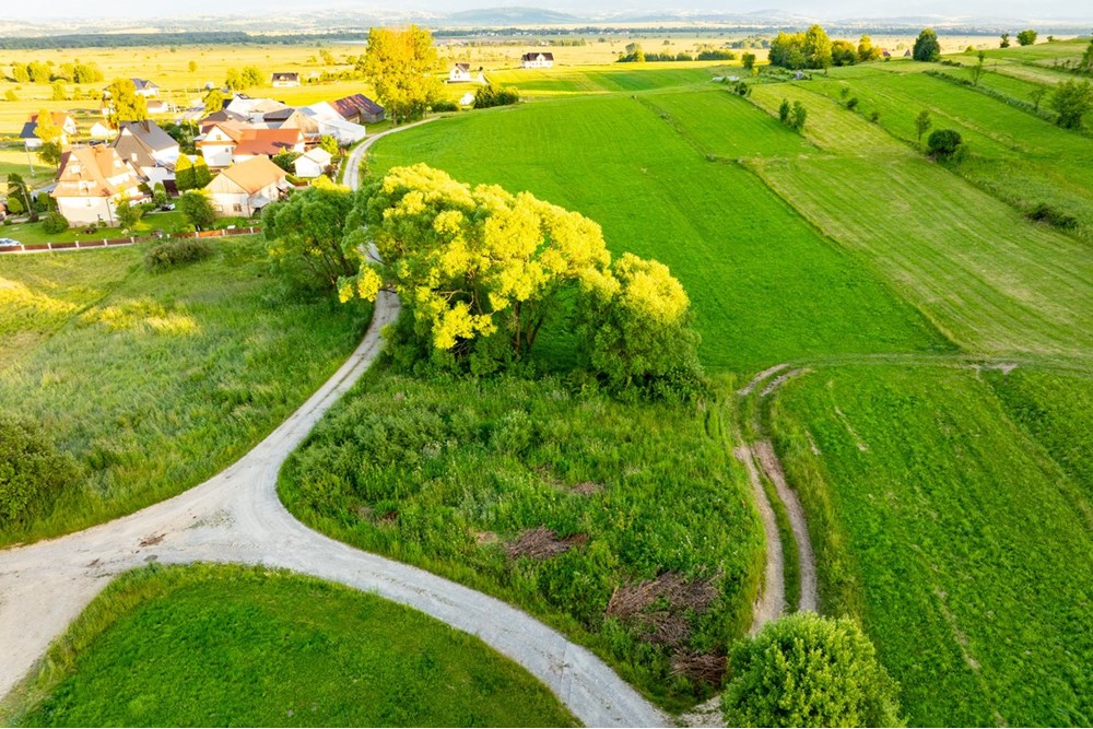 Działka budowlana - Sprzedaż - Pieniążkowice, Polska - DJI_0514-HDR-5.jpg - 800091045-36