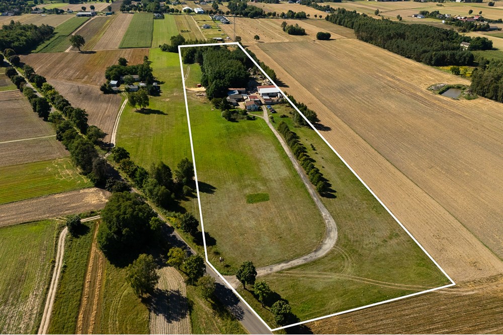 Nieruchomość gruntowa - Sprzedaż - Dalików, Polska - działka-25.jpg - 470291003-12