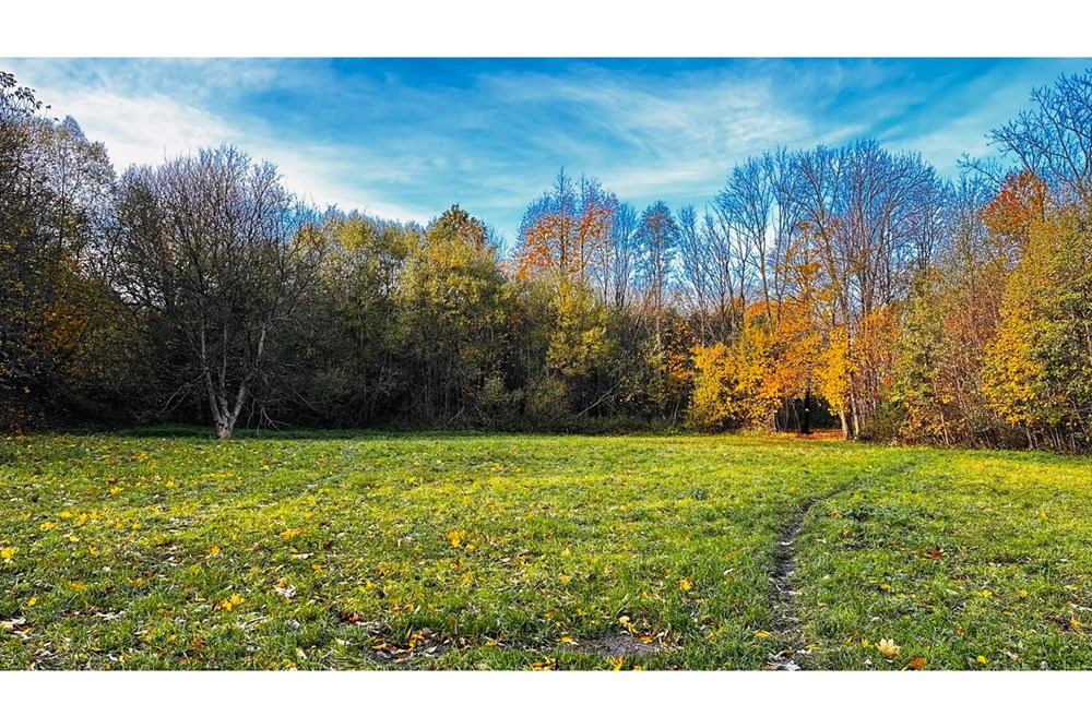 Działka - Sprzedaż - Bielsko-Biała, Polska - Zdjęcie WhatsApp 2025-10-25 o 12.48.39_c859a0dd.jpg - 800061109-41