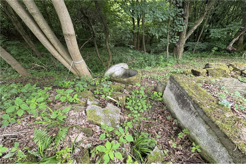 Działka budowlana - Sprzedaż - Chocznia, Polska - 15 - 800061100-85