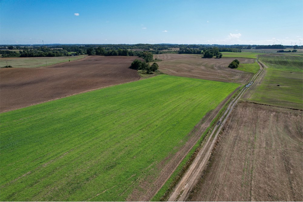 Działka budowlana - Sprzedaż - Będzino, Polska - 13.jpg - 470281002-230