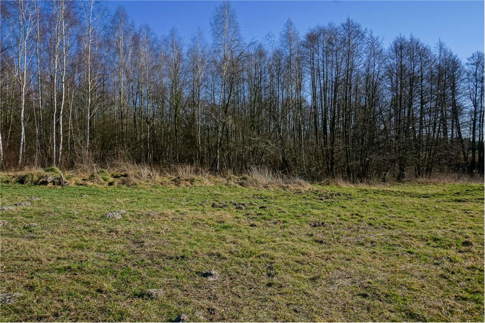 Działka budowlana - Sprzedaż - Musuły, Polska - 24 - 810141002-655