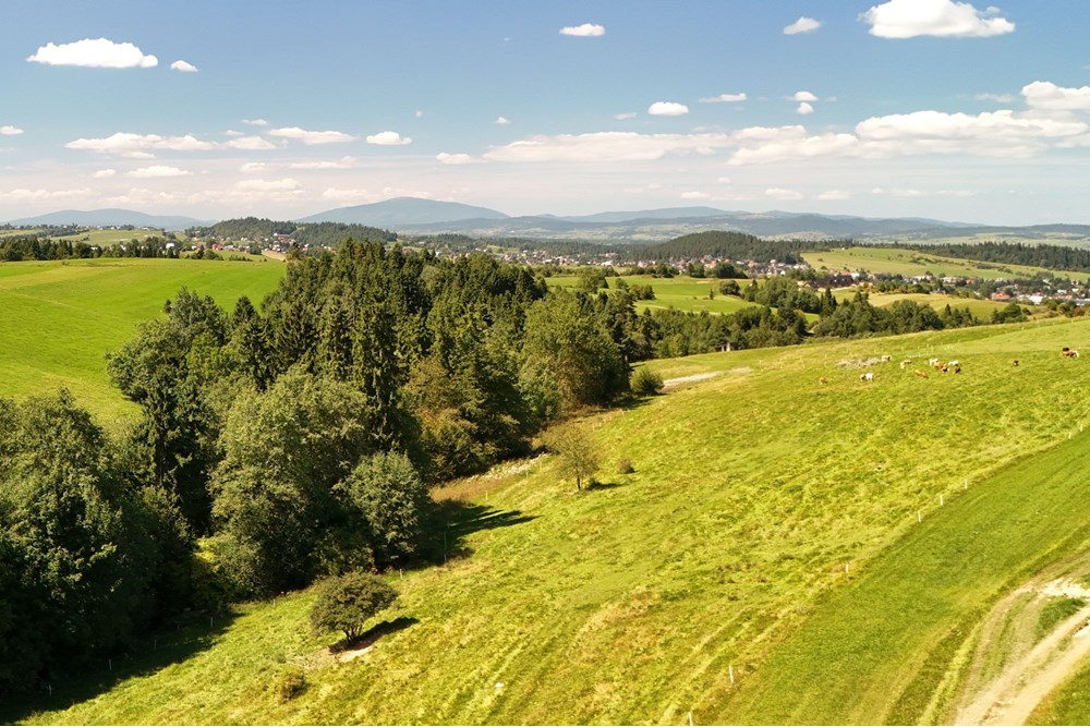 Działka - Sprzedaż - Leśnica, Polska - agent nieruchomosci zajac (6).jpg - 800091026-81