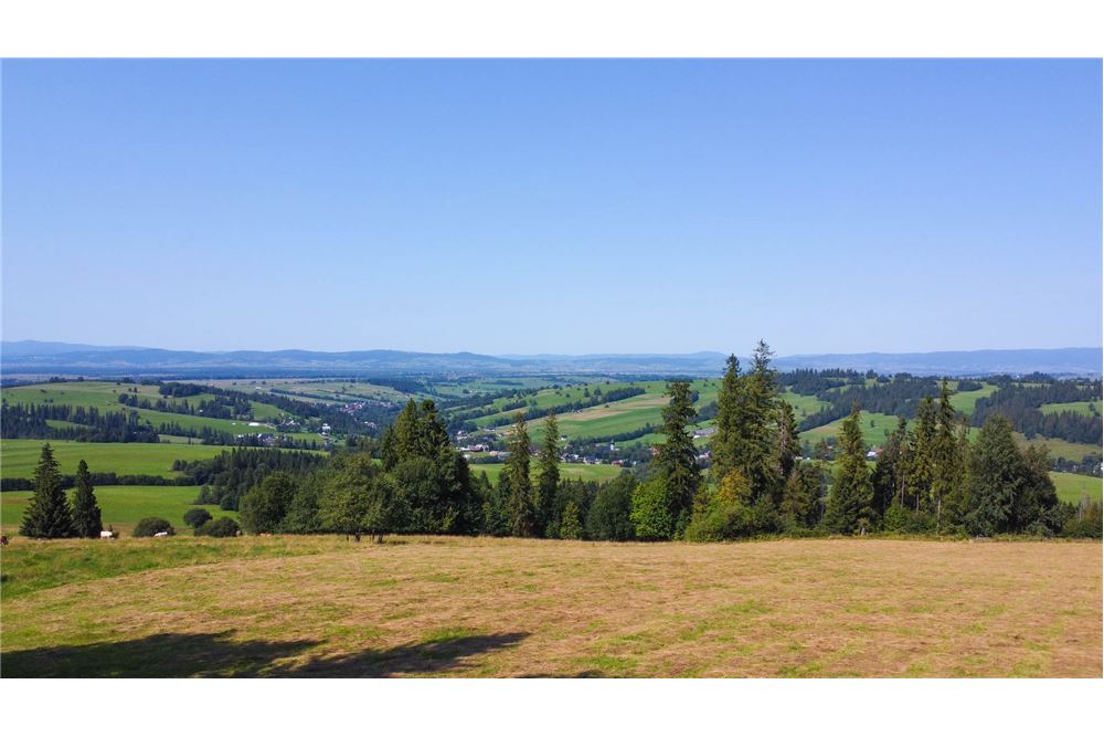 Nieruchomość gruntowa - Sprzedaż - Dzianisz, Polska - 61 - 800061116-23