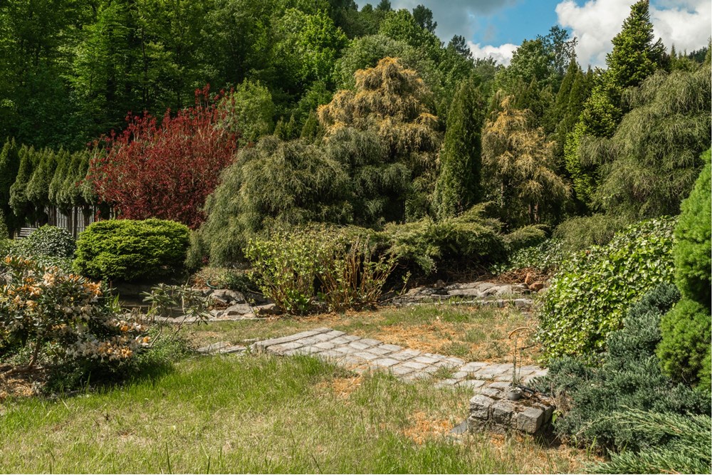 Rezydencja/Willa/Dworek - Sprzedaż - Ponikiew, Polska - IMG_1318.jpeg - 800061126-8