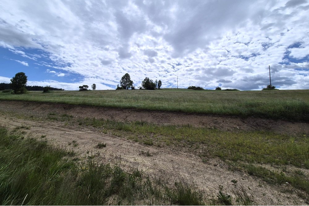 Działka - Sprzedaż - Rzepiska, Polska - Artur Zajac (9).jpg - 800091026-78