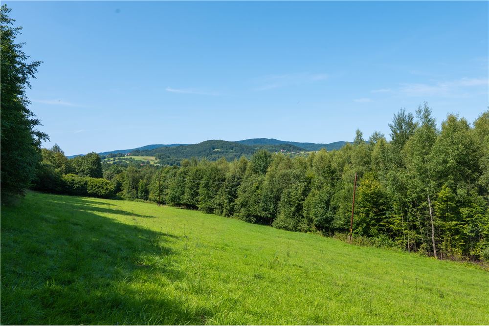 Działka - Sprzedaż - Tarnawa Dolna, Polska - 43 - 800061116-22