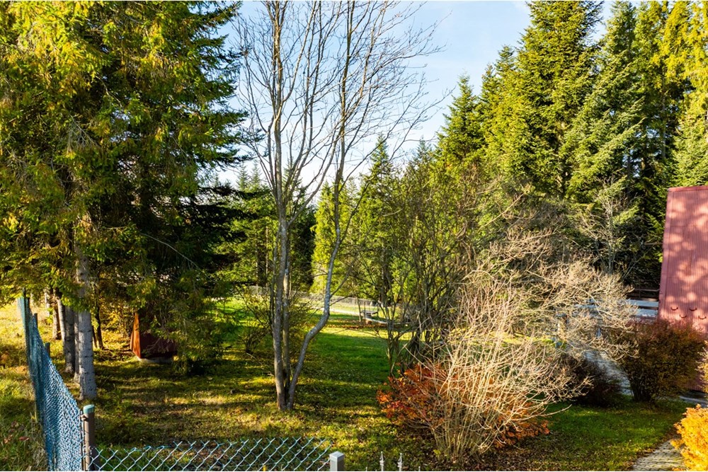 Działka - Sprzedaż - Skawa, Polska - 20251031-DJI_0270-HDR.jpg - 800091056-3