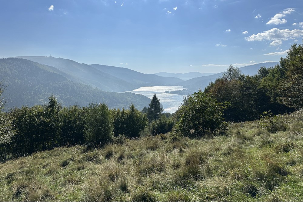 Działka budowlana - Sprzedaż - Międzybrodzie Bialskie, Polska - IMG_1820.jpg - 800061103-193