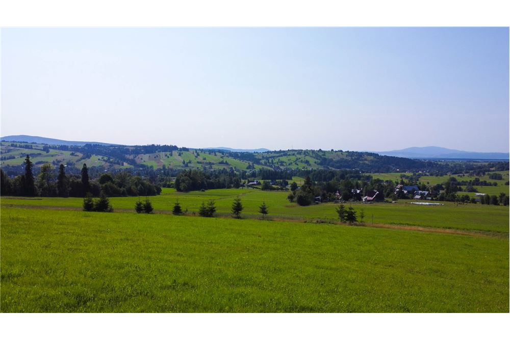 Nieruchomość gruntowa - Sprzedaż - Dzianisz, Polska - 21 - 800061116-24