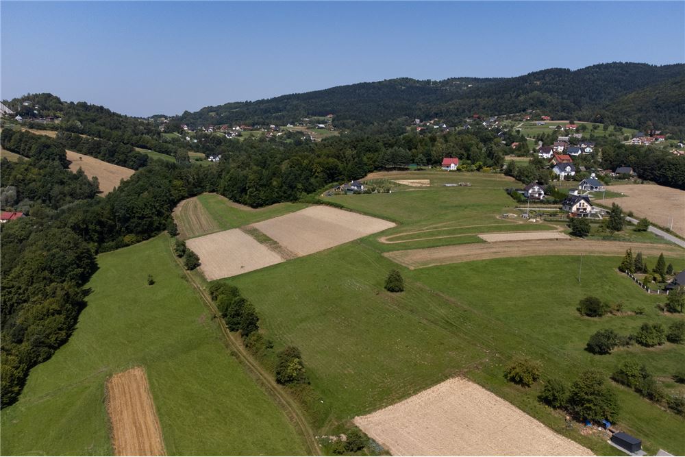 Działka - Sprzedaż - Młynne, Polska - 25 - 800061103-179