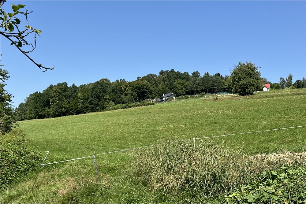 Działka - Sprzedaż - Młynne, Polska - 29 - 800061103-179