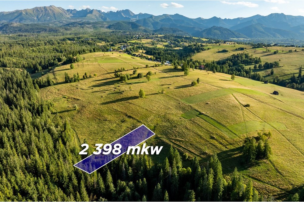 Działka - Sprzedaż - Zakopane, Polska - 4.jpg - 470151024-449