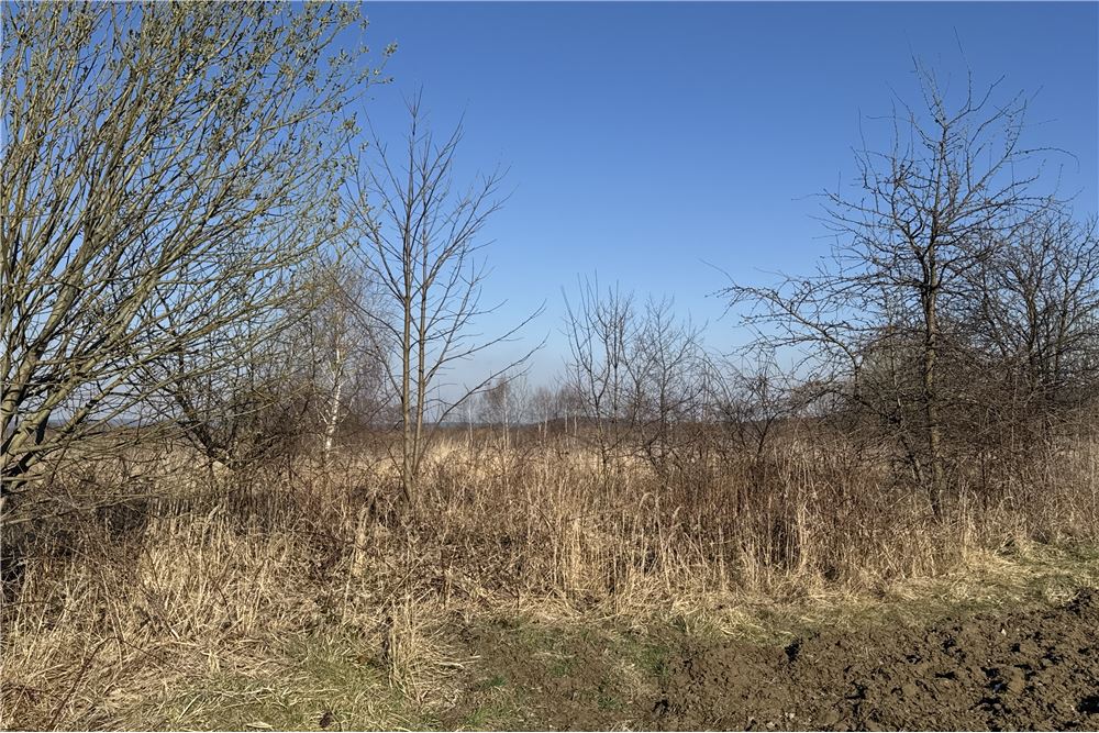 Działka - Sprzedaż - Chocznia, Polska - 15 - 800061100-79