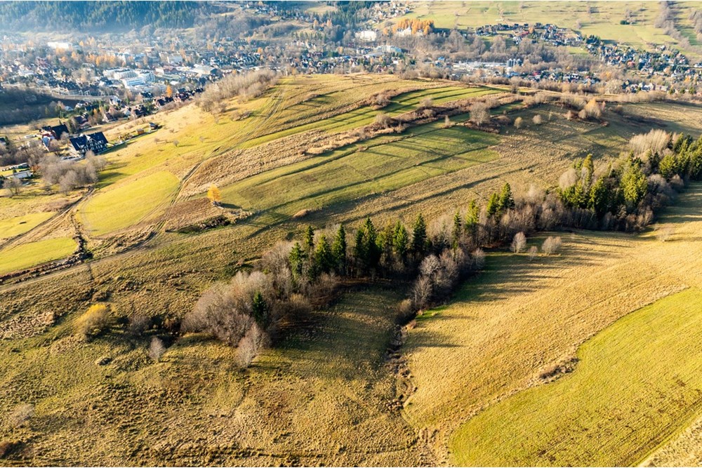 Działka - Sprzedaż - Zakopane, Polska - 20251114-DJI_0065-HDR.jpg - 800091026-88