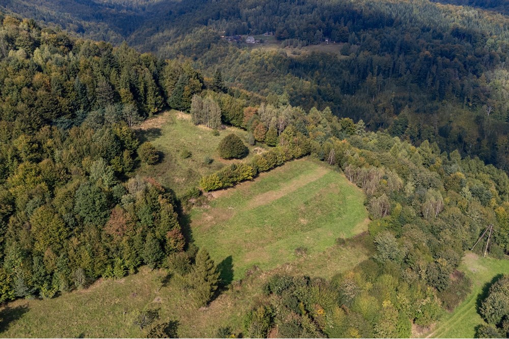 Działka budowlana - Sprzedaż - Międzybrodzie Bialskie, Polska - DJI_0522.jpg - 800061103-193