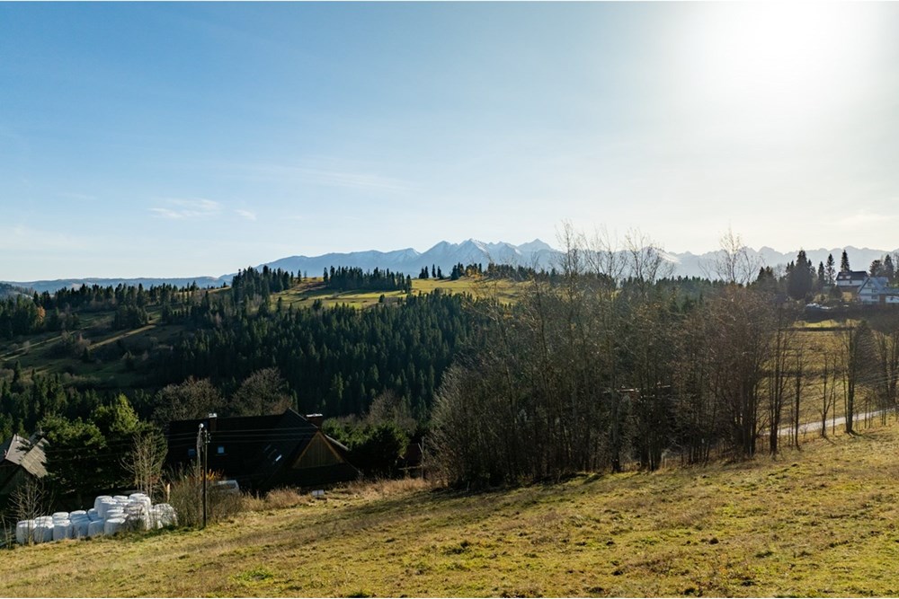 Działka - Sprzedaż - Rzepiska, Polska - 20251114-DJI_0857-HDR.jpg - 800091045-42